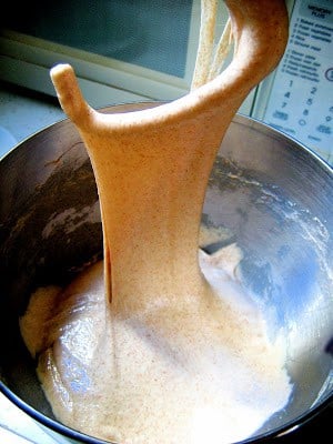 sourdough mix in a bowl