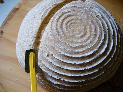 shot of boule being sliced