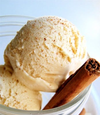 horchata ice cream with a stick of cinnamon