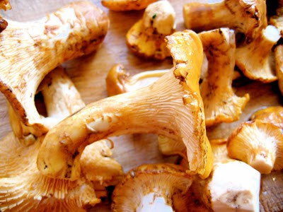 top down shot of chanterelle mushrooms