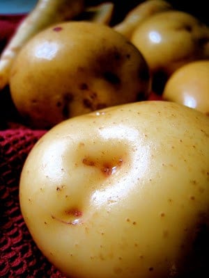 close up of potatoes