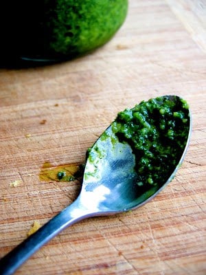 spoon with cilantro pesto on it