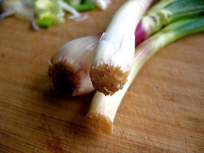 close up of spring onions