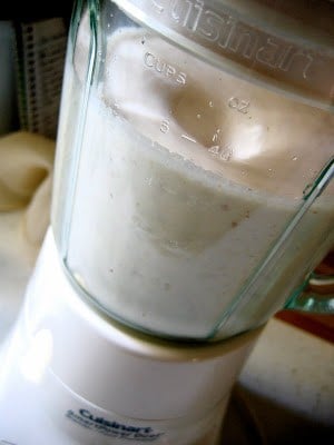 shot of blender with almond milk in it