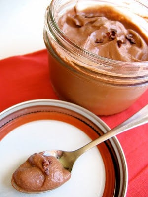 spoon with vegan chocolate pudding on it 