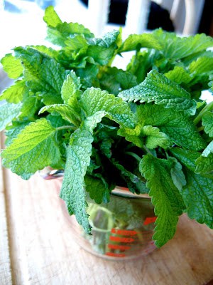 herbs in a bowl