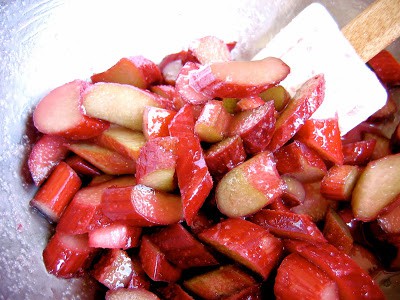 slices of rhubarb