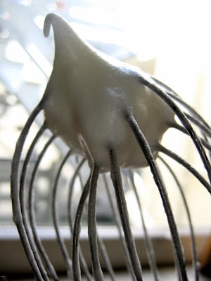 whisk close up 