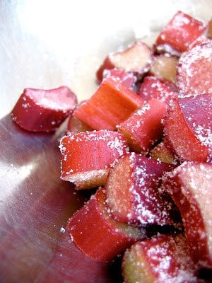 slices of rhubarb with sugar