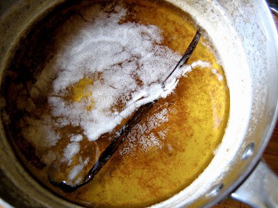 vanilla pod in a pot