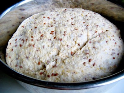 bread dough in a bowl