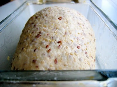 bread dough before baking