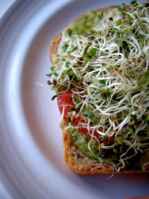 multigrain bread with sprouts 