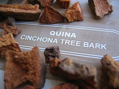 close up of cinchona tree bark