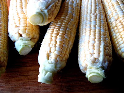 ears of corn 