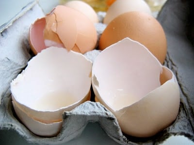 egg shells in a carton