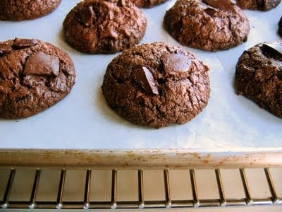 rows of chocolate cookies