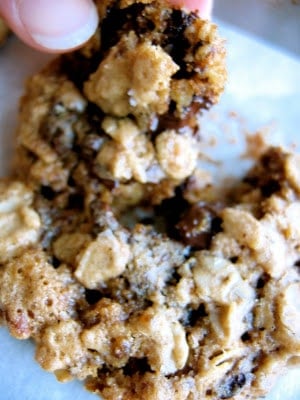 chewy oatmeal cookies 