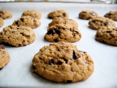 peanut butter chocolate chip cookies 