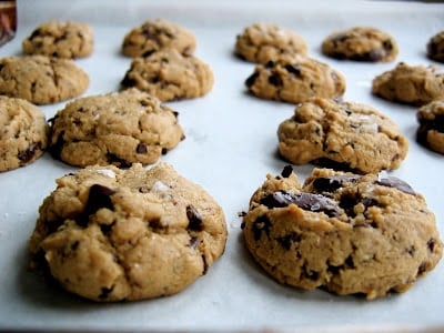 rows of cookies 