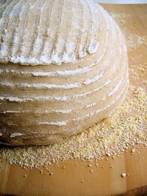side shot of bread before baking 