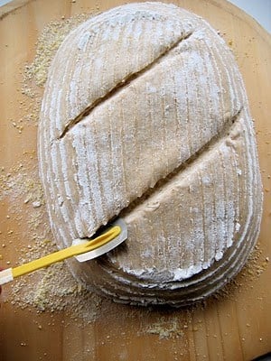 sourdough loaf before baking 