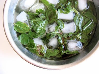 mint in a bowl with ice cubes 