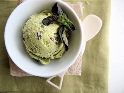 overhead shot of chocolate mint chip ice cream in a bowl 