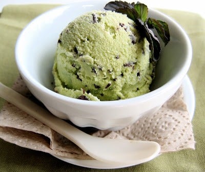 Cuisinart mint discount chip ice cream