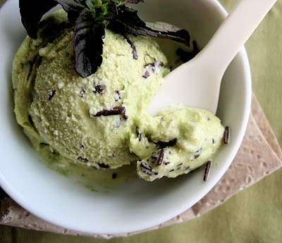 scoop of chocolate mint chip ice cream in a bowl 
