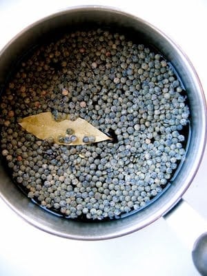 lentils in a pot of water 