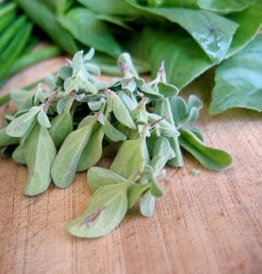 herbs on a chopping board 