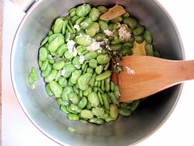 fava beans in a pot