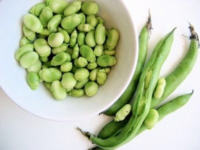 top down shot of fava beans 