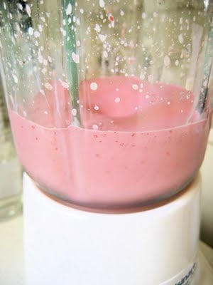 berry shake blender