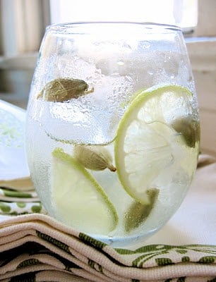 gin cocktail with lime slices 