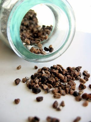 cardamom seeds 