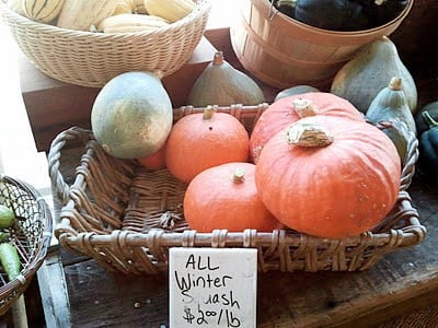 basket of pumpkins 