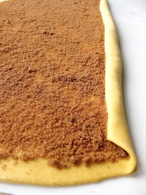 sheet of dough with sugar and cinnamon spread on it 