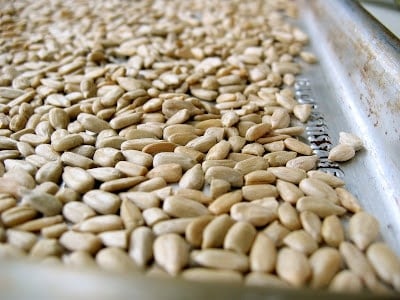 oats on a baking sheet 