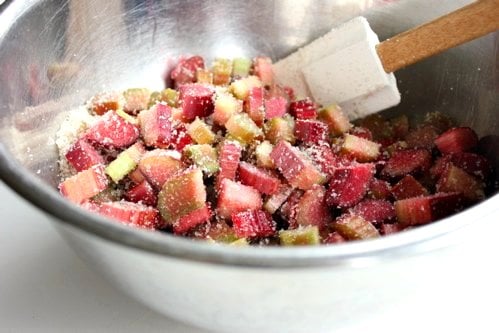 rhubarb stirred in a bowl 