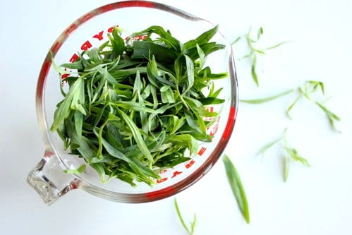 tarragon in a jug 