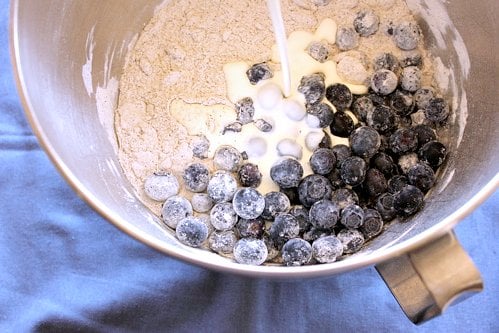 bowl of blueberries 