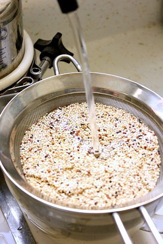 quinoa in a sieve