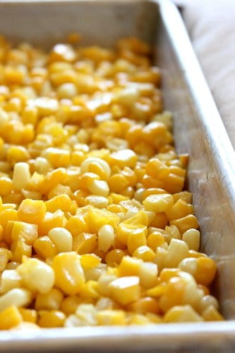 close up of corn 