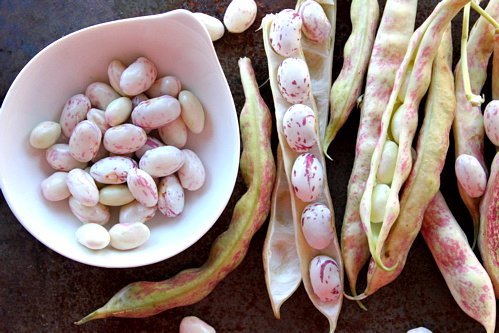 white beans 