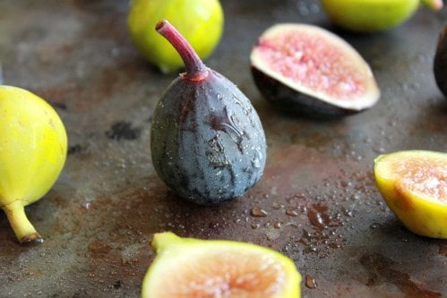 close up of fig 