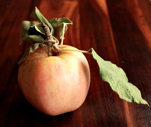 apple on table 