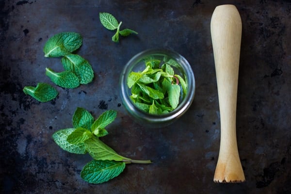 mint leaves in a jar 