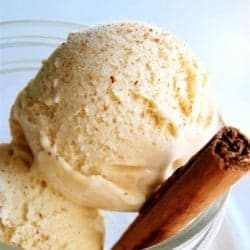 horchata ice cream with a stick of cinnamon
